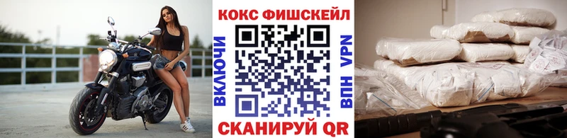 Купить закладки  Мензелинск  Cocaine FishScale 