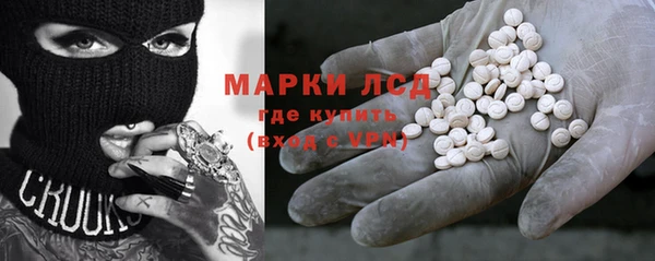 ПСИЛОЦИБИНОВЫЕ ГРИБЫ Бородино