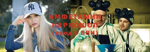 ПСИЛОЦИБИНОВЫЕ ГРИБЫ Бородино