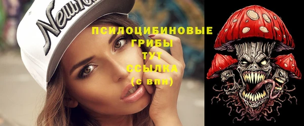 ПСИЛОЦИБИНОВЫЕ ГРИБЫ Бородино